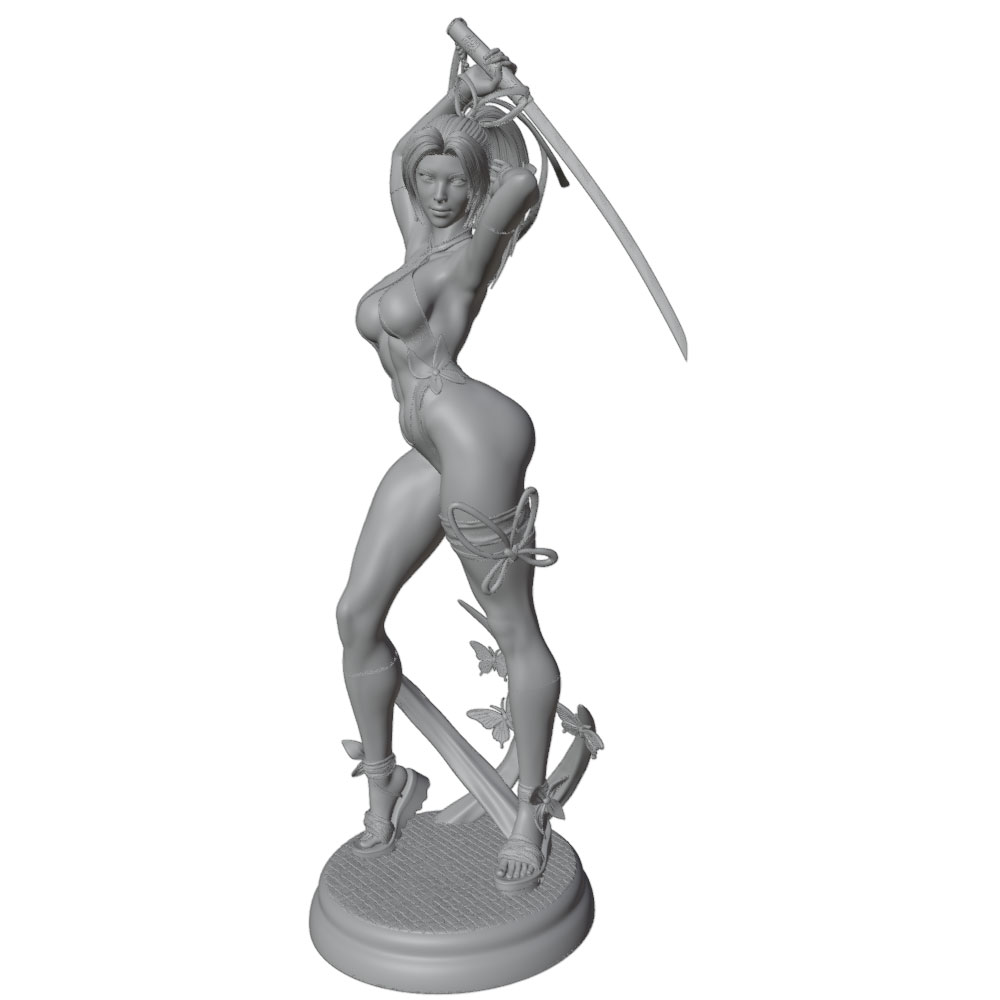 1/24 Kobieta 	 Zestawy modeli  – 3D Printing For Dummies recenzja i cena