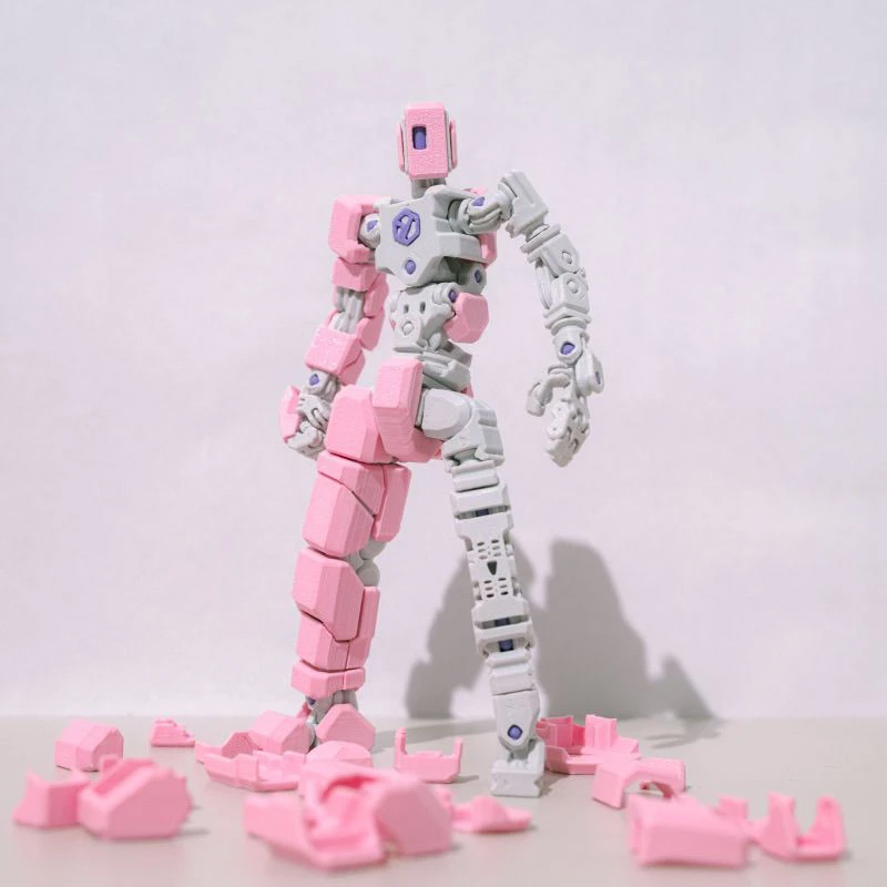 Wieloprzegubowe, ruchome robot – 3D Printing For Dummies recenzja i cena